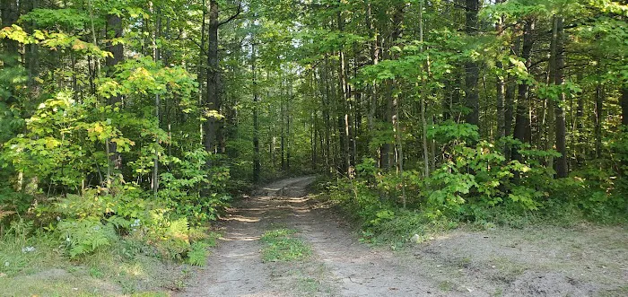 Pine Grove State Forest Campground Picture 1