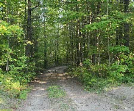 Pine Grove State Forest Campground