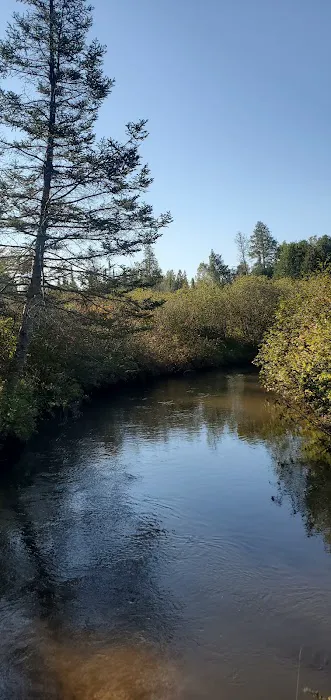 Pine Grove State Forest Campground Picture 2