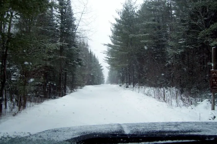 Pine Grove State Forest Campground Picture 3