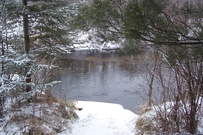 Pine Grove State Forest Campground Picture 4