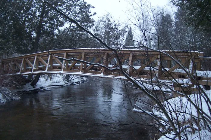 Pine Grove State Forest Campground Picture 6