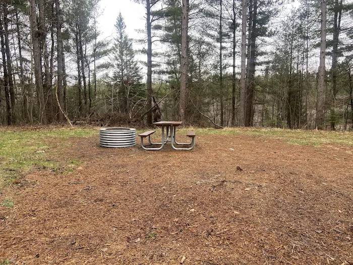 Pine Grove State Forest Campground Picture 10