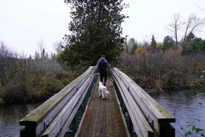 Pine Grove State Forest Campground Picture 7