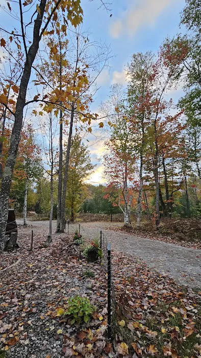 Elkwood Campground Picture 3