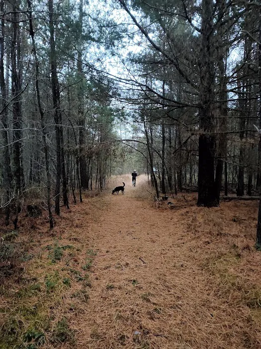 Elkwood Campground Picture 8