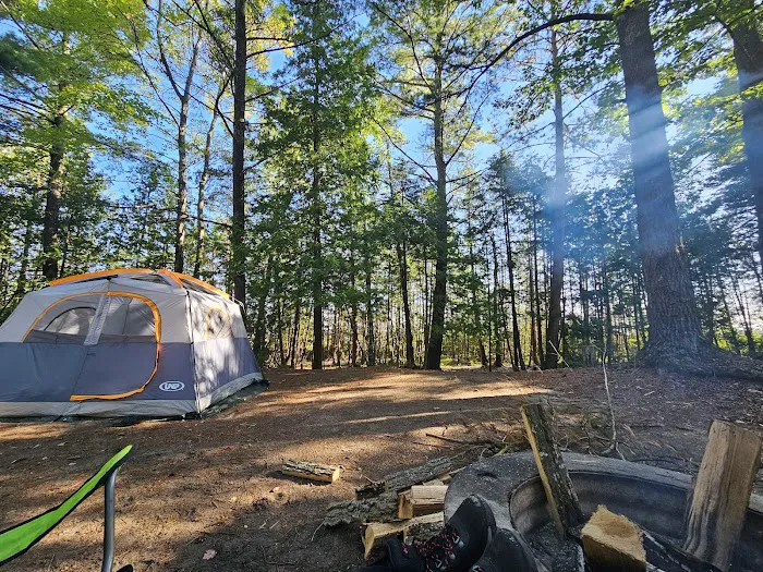 Ossineke State Forest Campground Picture 3