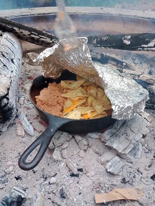 Ossineke State Forest Campground Picture 8