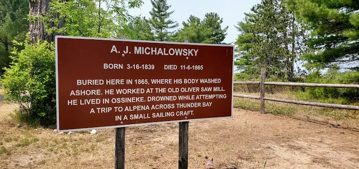 Ossineke State Forest Campground Picture 7