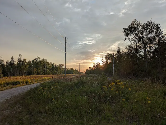 Cedar Haven Rustic Cabin Picture 5
