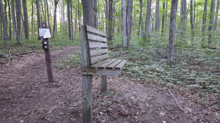 Lake Ann State Forest Campground Picture 2