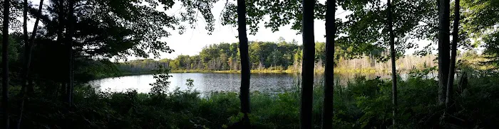 Lake Ann State Forest Campground Picture 3