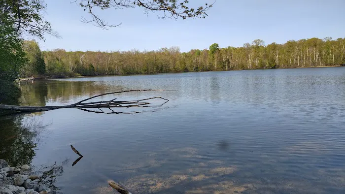 Lake Ann State Forest Campground Picture 1