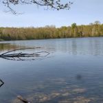 Lake Ann State Forest Campground