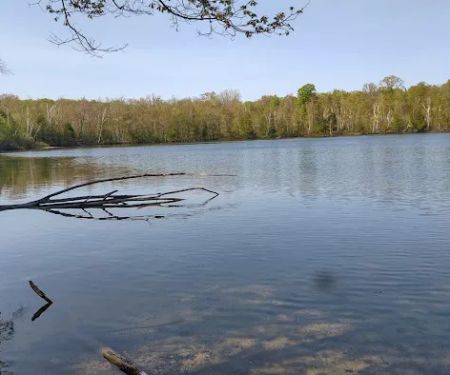 Lake Ann State Forest Campground