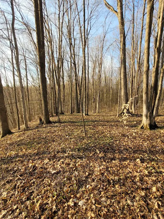 Lake Ann State Forest Campground Picture 7