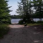 Garey Lake Trail Camp