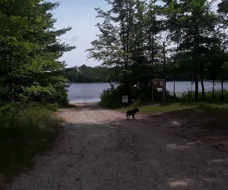 Garey Lake Trail Camp