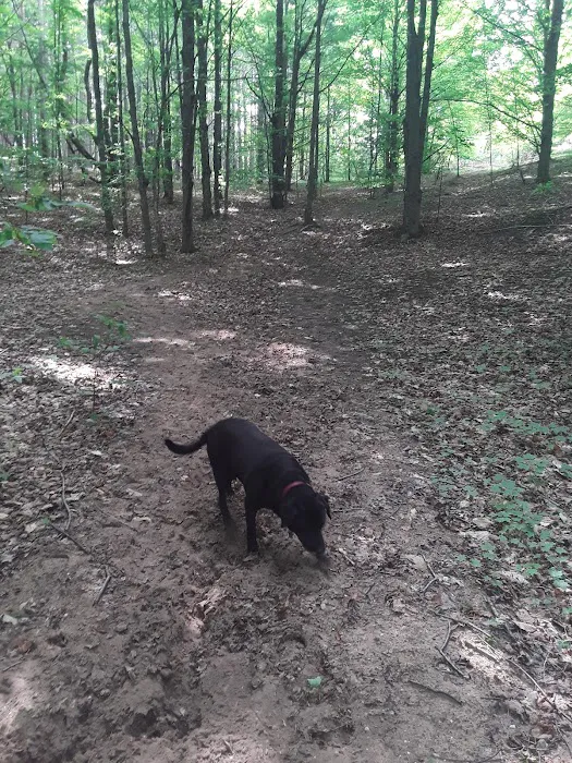 Garey Lake Trail Camp Picture 8
