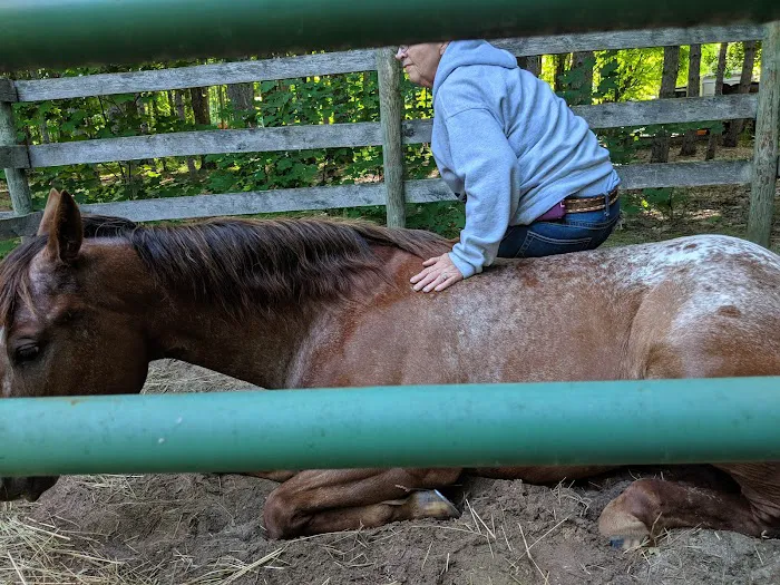 Garey Lake Trail Camp Picture 9