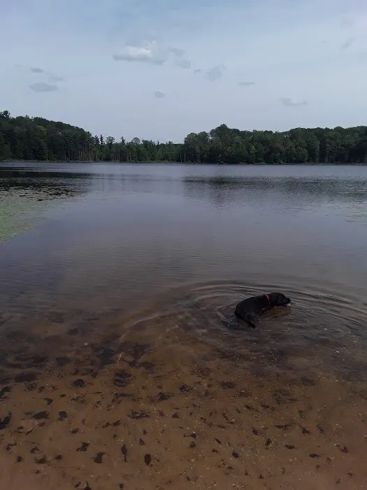 Garey Lake Trail Camp Picture 5