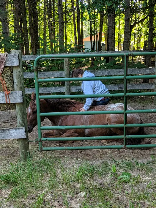 Garey Lake Trail Camp Picture 10