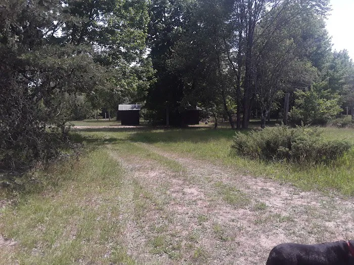 Garey Lake Trail Camp Picture 4