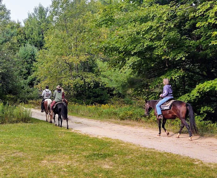 Garey Lake State Forest Campground Picture 1