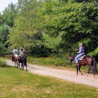 Garey Lake State Forest Campground ico