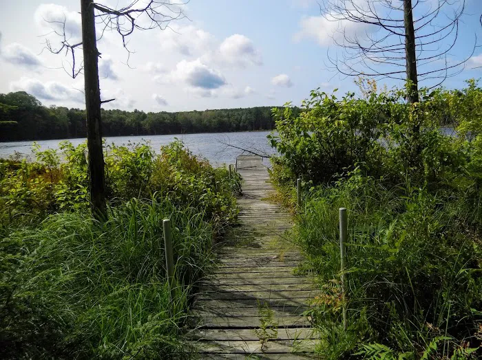 Garey Lake State Forest Campground Picture 2