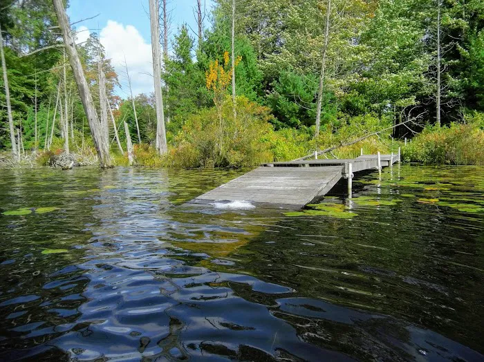 Garey Lake State Forest Campground Picture 5