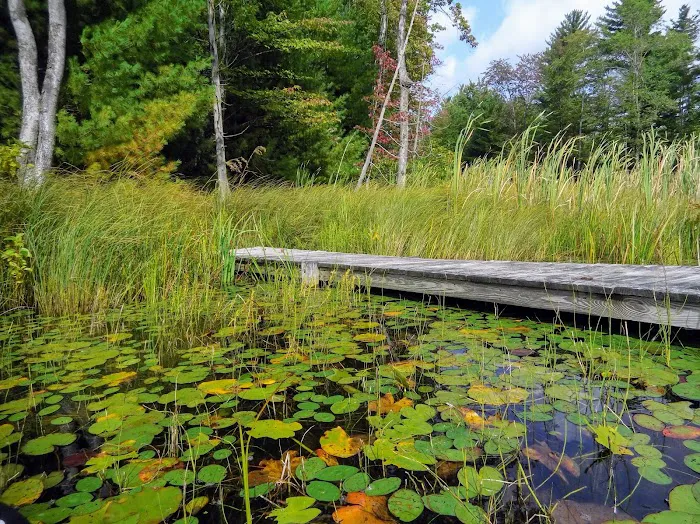 Garey Lake State Forest Campground Picture 9