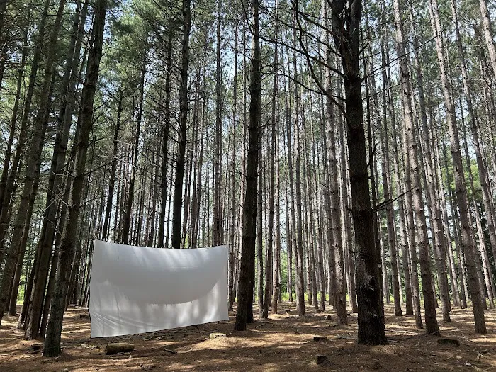 Leelanau Pines Campground Picture 1