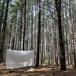 Leelanau Pines Campground