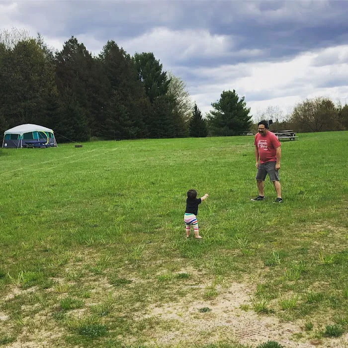 Backyard Burdickville Picture 2