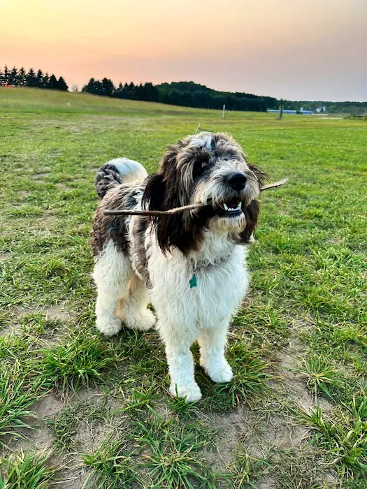 Backyard Burdickville Picture 3