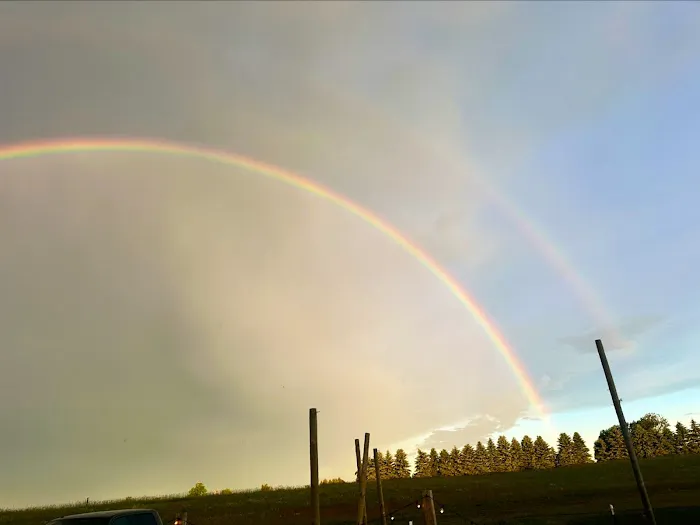 Backyard Burdickville Picture 6