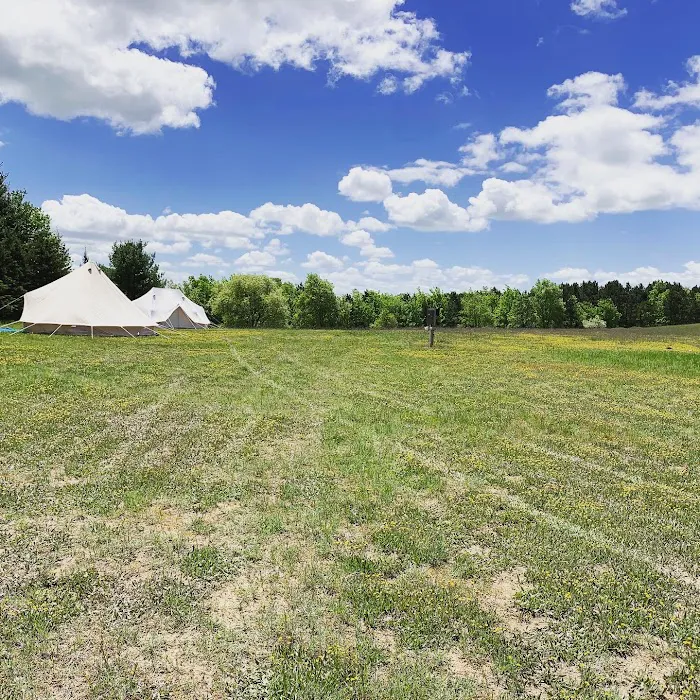 Backyard Burdickville Picture 7