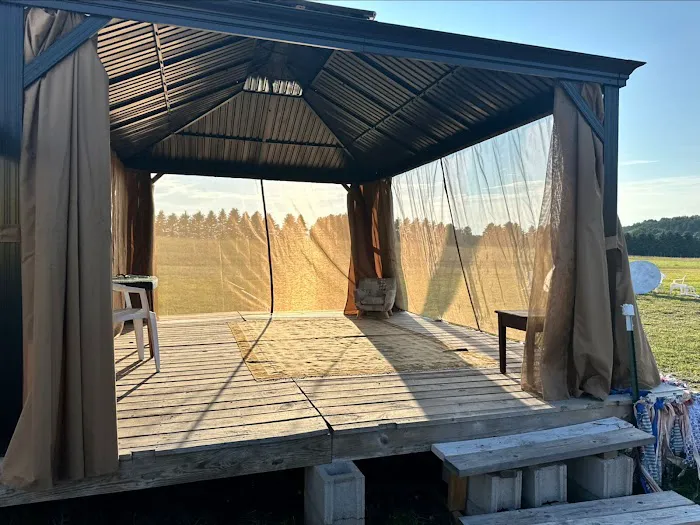 Backyard Burdickville Picture 8