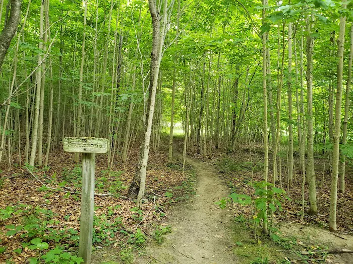 Village Campground North Manitou Island Picture 5