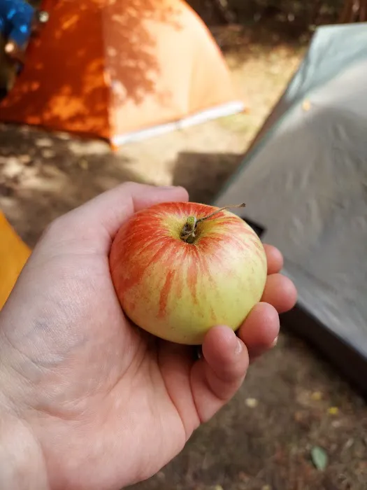 Village Campground North Manitou Island Picture 9