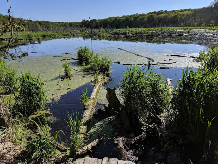 Village Campground North Manitou Island Picture 8