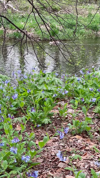 Trestler Trails Picture 2