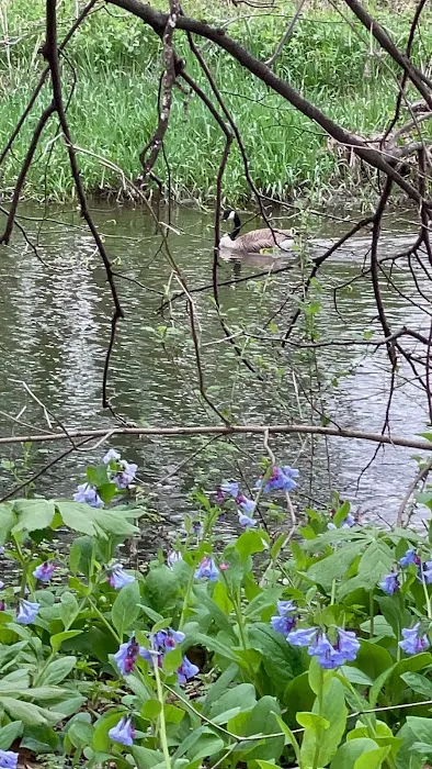 Trestler Trails Picture 5