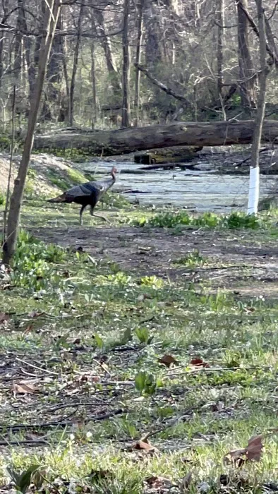 Trestler Trails Picture 7