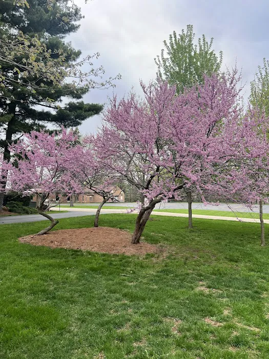 Trestler Trails Picture 10