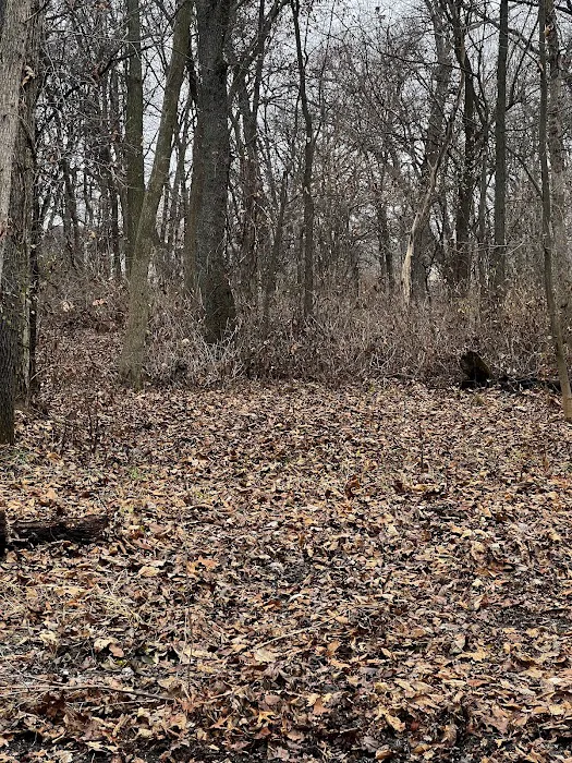 Sherman R Cook Memorial Scout Park (Cook Woods) Picture 2