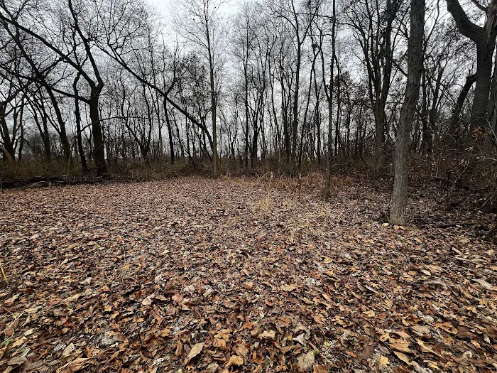 Sherman R Cook Memorial Scout Park (Cook Woods) Picture 3