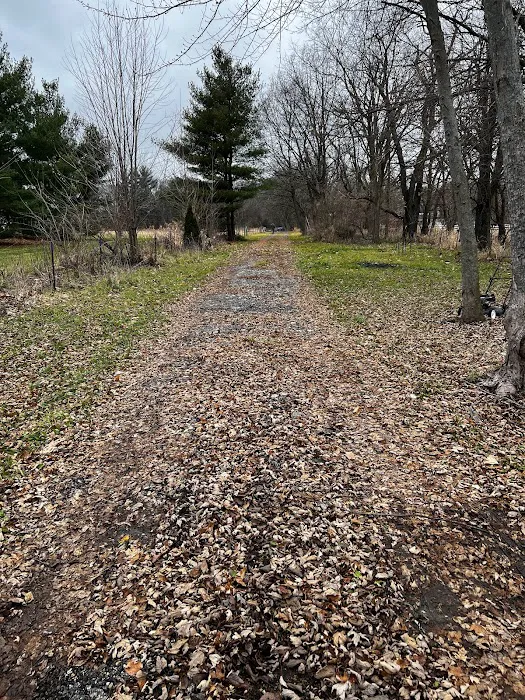 Sherman R Cook Memorial Scout Park (Cook Woods) Picture 1
