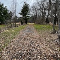 Sherman R Cook Memorial Scout Park (Cook Woods) ico